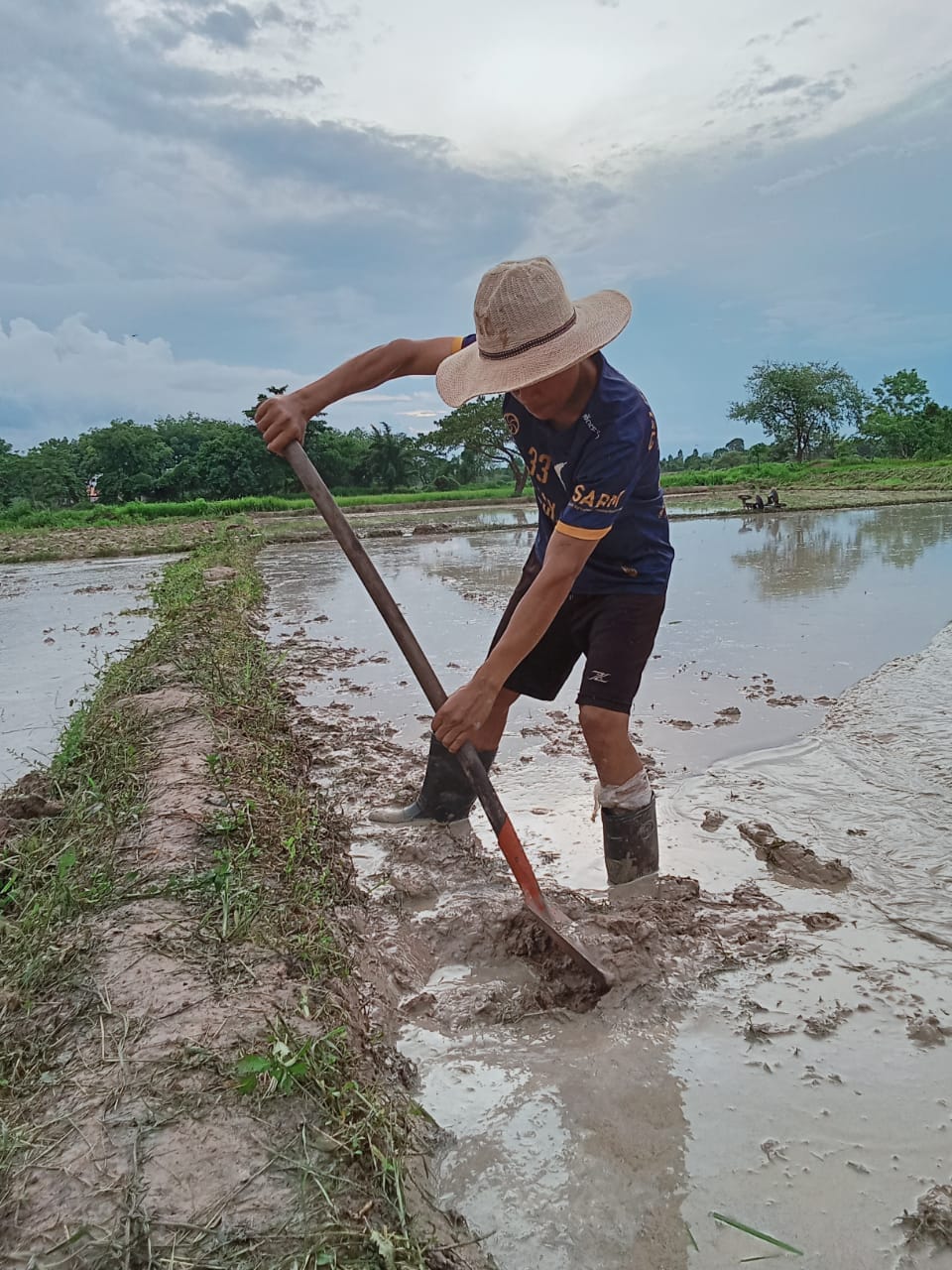 Soil and water manage be for planting rice